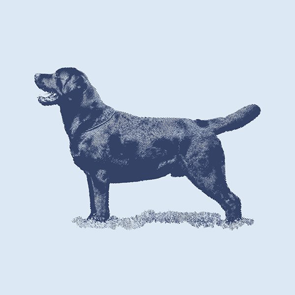 Dog_Icon-blue